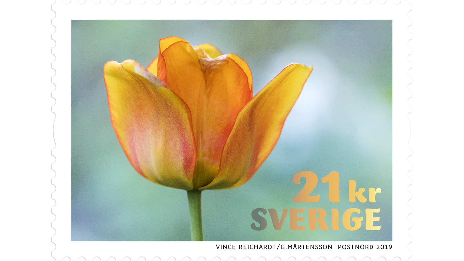 Frimärksutgåva Tulpaner, 10 januari 2019.